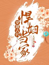穿越古代:悍妇当家