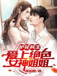 护花兵王,爱上绝色女神姐姐