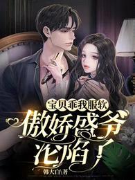 宝贝乖我服软,傲娇盛爷沦陷了