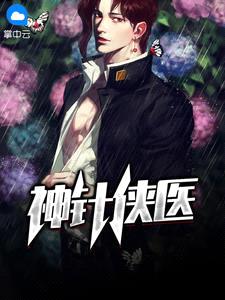极品花都医仙(神针侠医)